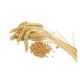 Retail grain orders